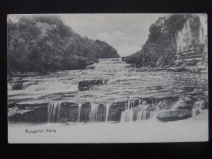 North Yorkshire AYSGARTH FALLS Wensleydale - Old Postcard by Frith