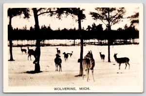 RPPC Wolverine MI Deer In Snow Real Photo Postcard U25