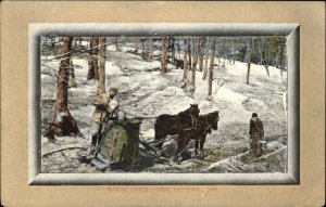 VERMONT Gathering Sap w Horse Drawn Cart FRAME BORDER c1910 Postcard