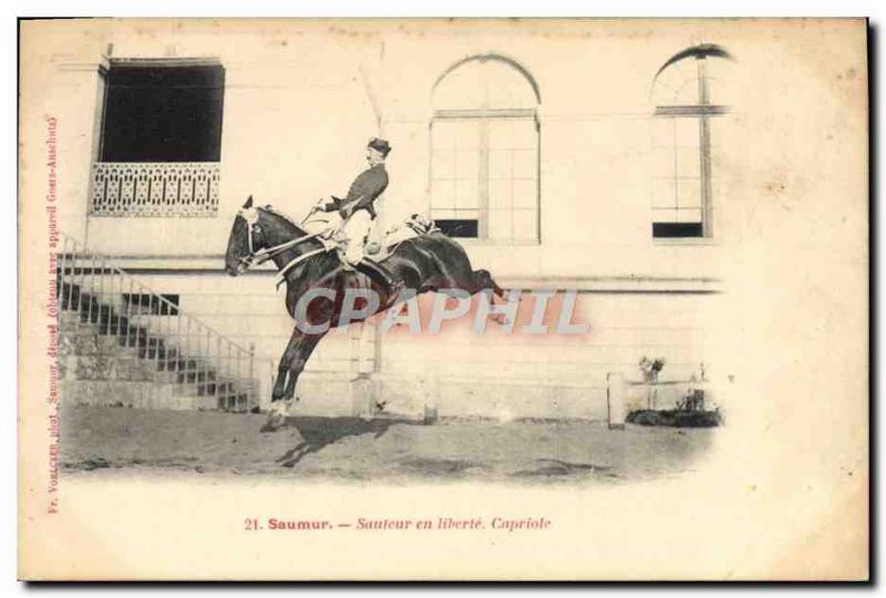 Old Postcard Saumur Horse Equestrian Jumper in Capriole freedom