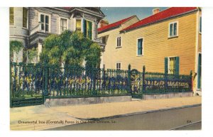 LA - New Orleans. Cornstalk Cast Iron Fence