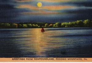 1954 Greetings from Newfoundland Pocono Mountains PA Poconos RARE Linen Postcard