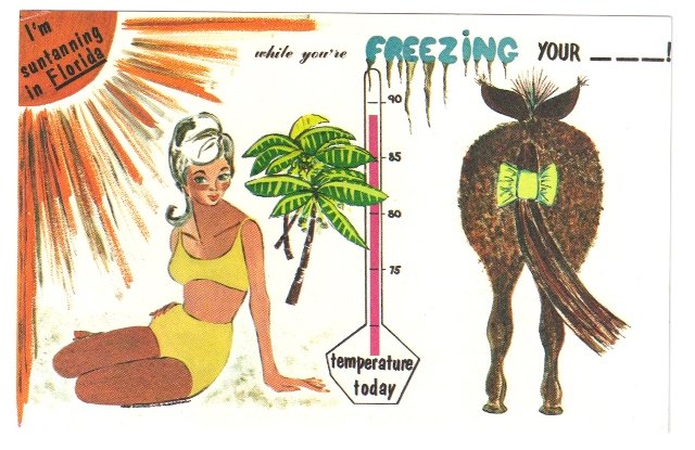 I'm suntanning in Florida while you're Freezing your A off humor Postcard