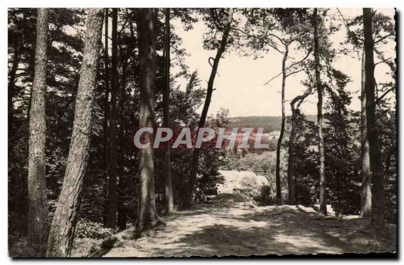 Cars of & # 39Orne Modern Postcard View from dog rock