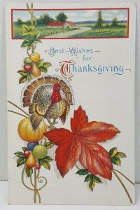 Thanksgiving Best Wishes Turkey 1914 Vintage Antique Postcard