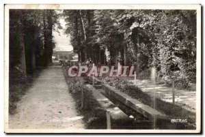 Old Postcard SAINT CLOUD L Allee des Chutes