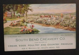 Mint USA Advertisement Postcard South Bend Creamery Co Indiana Eggs Butter Milk