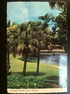 Vintage Postcard 1980's Beautiful Silver Springs Glass Bottom Boats Florida (FL)