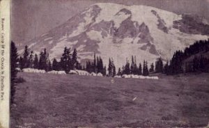 Reeses' Camp of the Clouds - Seattle, Washington WA Postcard