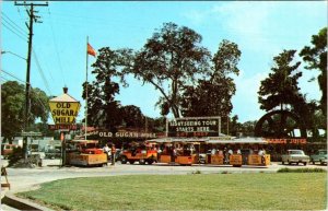 St Augustine, FL Florida  OLD SUGAR MILL Sightseeing Tour Cars ROADSIDE Postcard