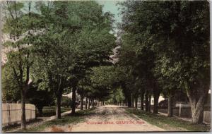 Worcester Street, Grafton Massachusetts c1910 Vintage Postcard H14