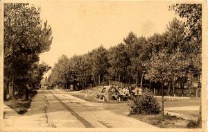 Belgium - Drive of Sapinieres    *RPPC