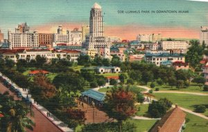 Vintage Postcard 1949 Lummus Park in Downtown Miami Florida FL Dade County News