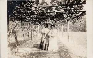 Portrait of Two Women in Vineyard or Orchard Unknown Location RPPC Postcard H9