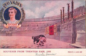 Trenton Fair 1908 Quo Vadis Cigar Advertising Bull Fight Postcard AA33634