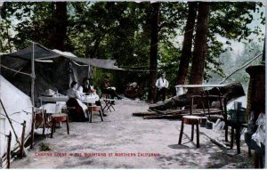 Camping Scene in the Mountains of Northern California - c1908