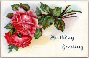 Birthday Greeting Large Print Beautiful Red Roses Flower Bouquet Postcard