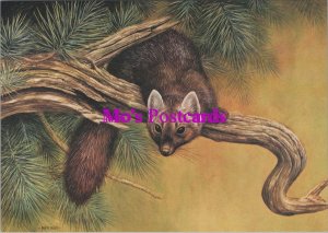 Animal Art Postcard - Artist David Parry, The Pine Marten RR20404