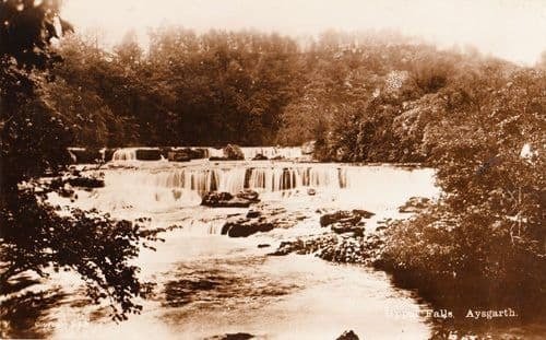 Aysgarth Upper Falls Yorkshire Antique Real Photo Postcard