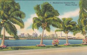 Florida Miami Skyline From Venetian Way
