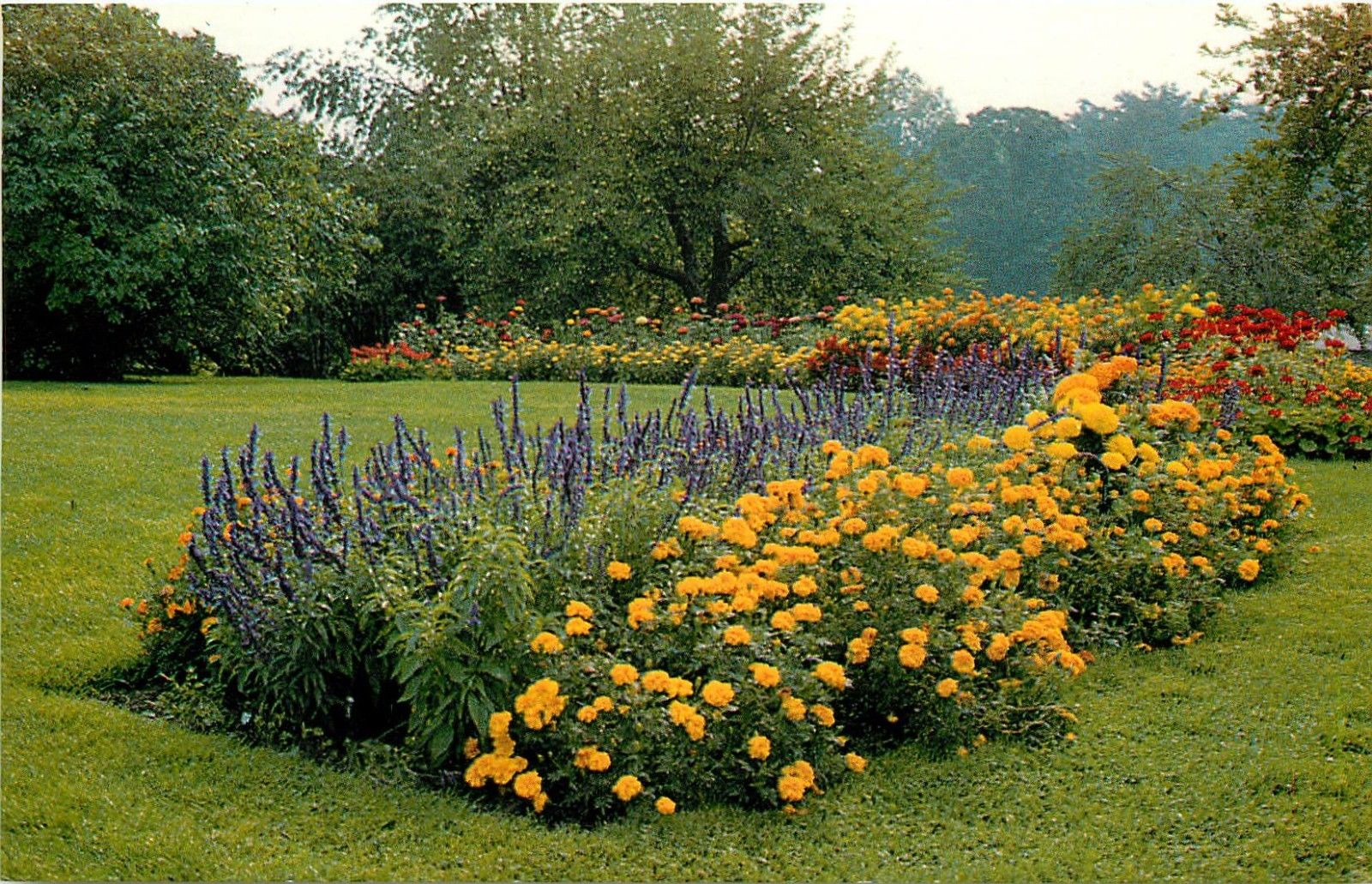 Hidden Lake Gardens Michigan State University Tipton Floral Scene