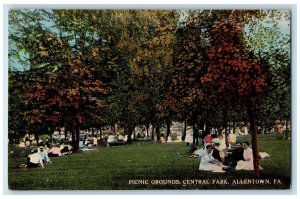 c1910 Scene at Picnic Grounds Central Park Allentown Pennsylvania PA Postcard 