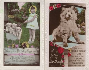 A Pram Of Dogs 2x Birthday Greetings Real Photo Postcard s