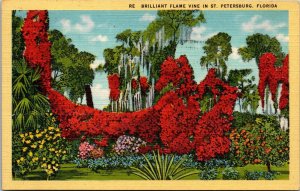 Vtg St Petersburg Florida FL Brilliant Flame Vine Tropical Garden 1940s Postcard