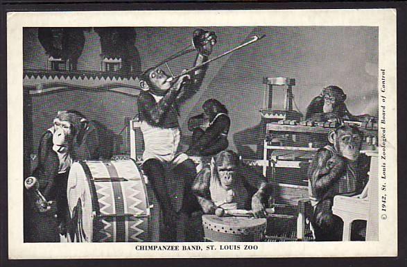 Chimpanzee Band St Louis Zoo MO Post Card  5215