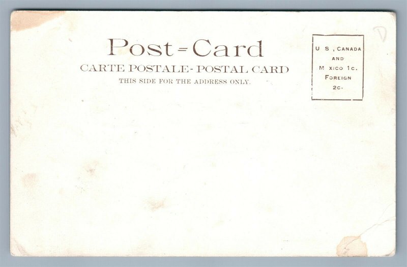 ST.LOUIS MO 1904 WORLD'S FAIR ANTIQUE POSTCARD