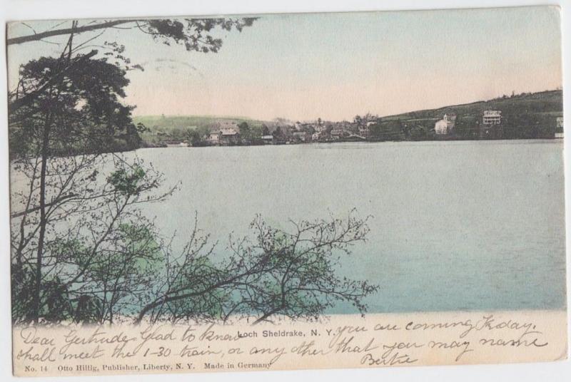 1905 LOCH SHELDRAKE New York NY Postcard Lake TOWN VIEW Sullivan County