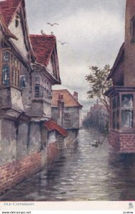 Old Canterbury, 1900-1910s; TUCK 1485