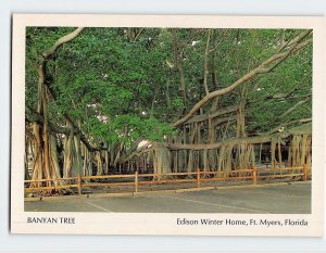 M-129952 Banyan Tree Edison Winter Home Fort Myers Florida