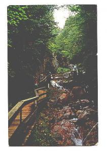 Bridge, Flume, Franconia  White Mountains, New Hampshire,