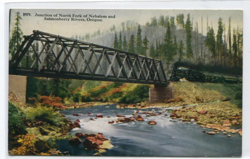 Railroad Train Bridge Nebalem Salmonberry Rivers Oregon 1910c postcard