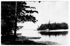 1920s Rppc Postcard Random Lake Water Shore Forrest Boats Landscape Posted 