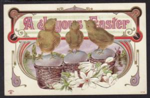 A Joyous Easter Chicks Postcard 4527