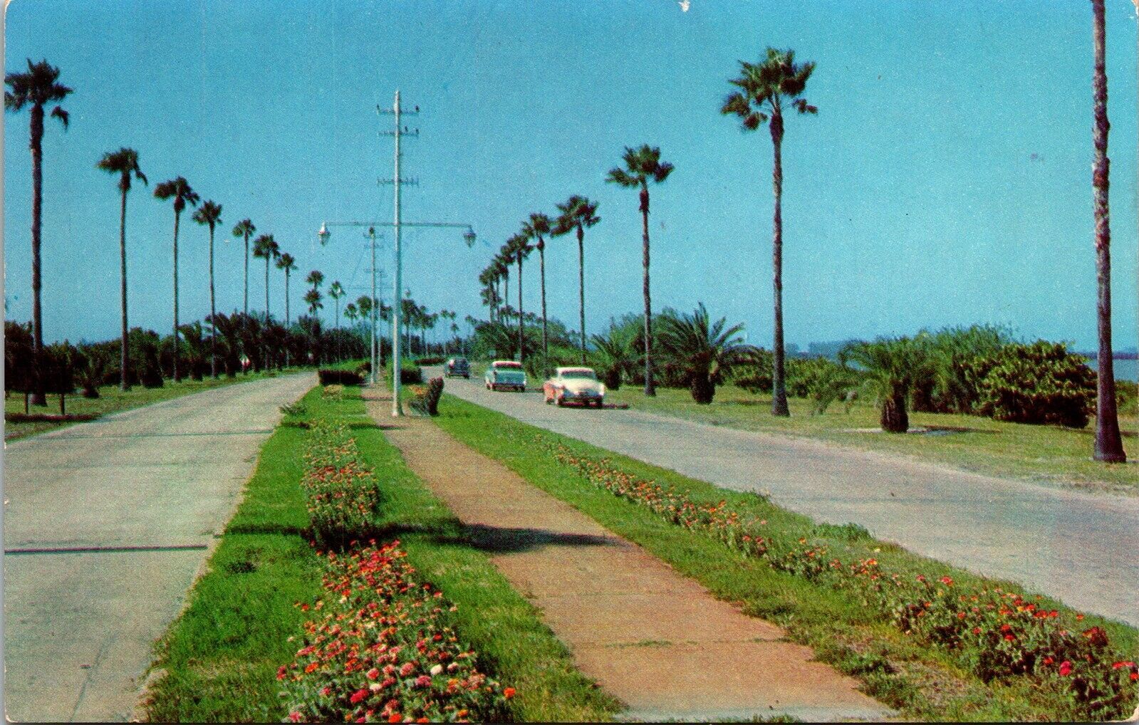 Clearwater Beach Causeway Florida Old Cars Tropical Palm Trees Chrome