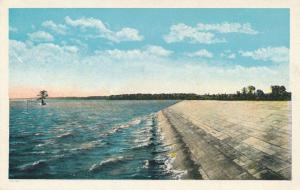 Sea Wall and Lone Cypress Tree - Jamestown Island VA, Virginia - WB