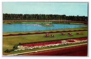 Parading To The Post Hialeah Race Course Hialeah Florida Postcard Horse Racing