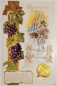 Thanksgiving Greetings Pilgrim Large Turkey Grapes Gold Gilt Postcard V21