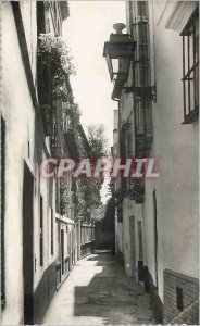 Postcard Modern Sevilla Barrio de Santa Cruz Calle Pimienta in Seville Quarte...