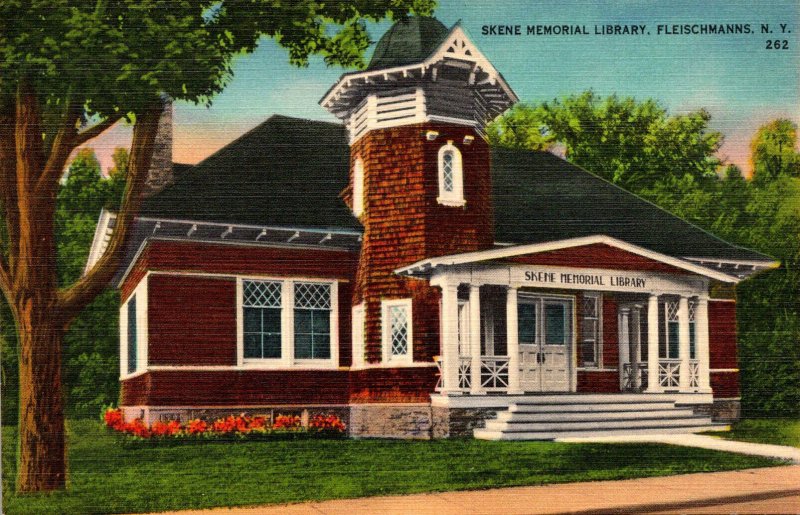 New York Fleischmann's Skene Memorial Library United States New York Other, Postcard