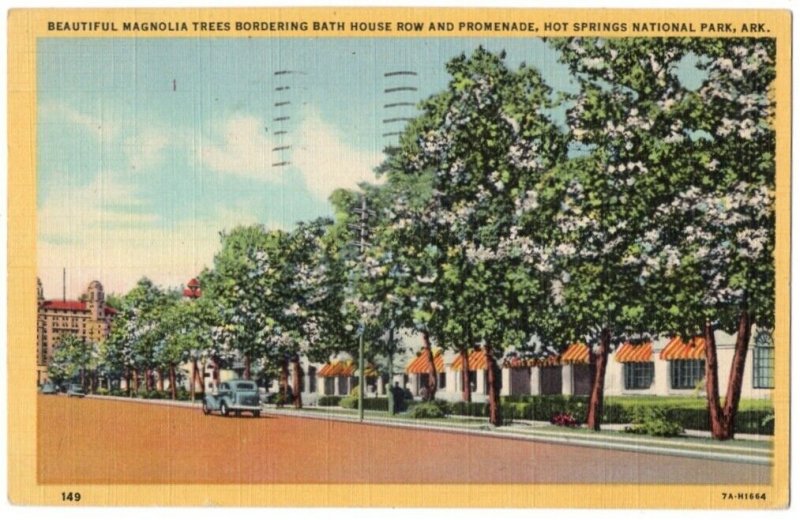 100220 MAGNOLIA TREES BATH HOUSE ROW HOT SPRINGS NATIONAL PARK AR POSTCARD 1949