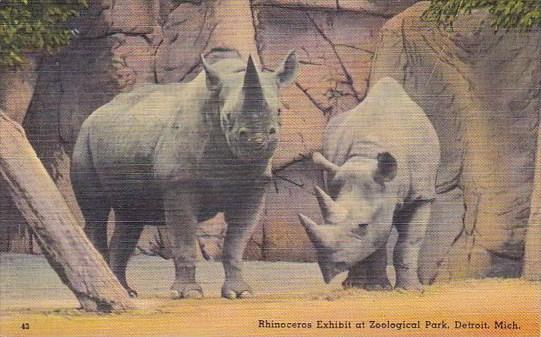 Rhinoceros Exhibit At Zoological Park Detroit Michigan