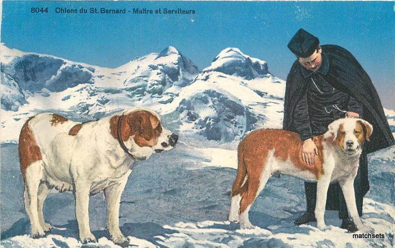 C-1910 St. Bernard Dogs Switzerland Alps POSTCARD 1459