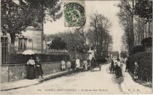 CPA LIMEIL-BRÉVANNES - Avenue des Tilleuls (44957)