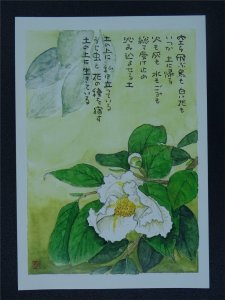 SUMMER CAMELLIA Paintings Poems by Japanese Disabled Artist Tomihiro Hoshino PC