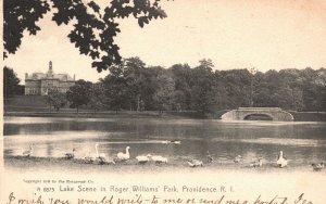 Vintage Postcard 1906 Lake Scene In  Roger Williams Park Providence Rhode Island