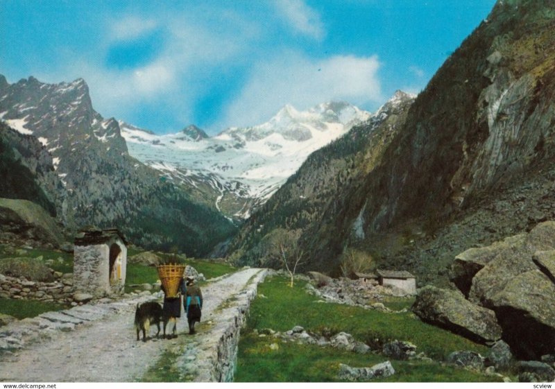 Dintorni di S. MARTINO (val) di Malla , 1950-70s